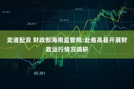 奕道配资 财政部海南监管局:赴临高县开展财政运行情况调研