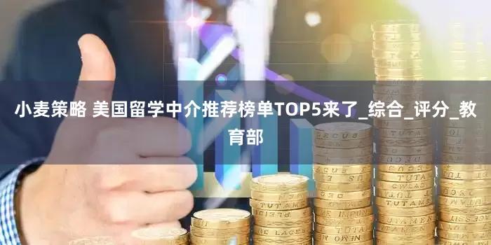小麦策略 美国留学中介推荐榜单TOP5来了_综合_评分_教育部