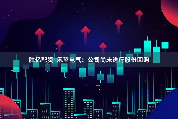 胜亿配资  禾望电气：公司尚未进行股份回购
